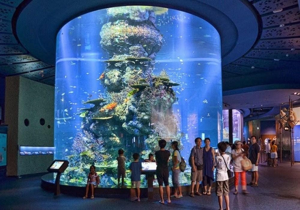 S.E.A Aquarium - chốn thủy cung lộng lẫy bậc nhất của Singapore | Địa Điểm Du Lịch